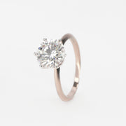 The Sheba Sparkler
