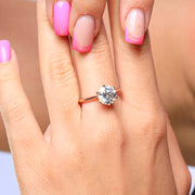 The Sheba Sparkler