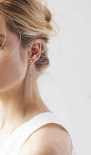 Long Tassel Chain Earring