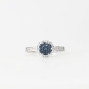 Blue Crown King