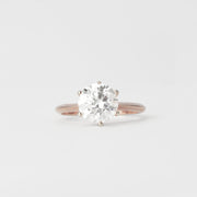 The Sheba Sparkler