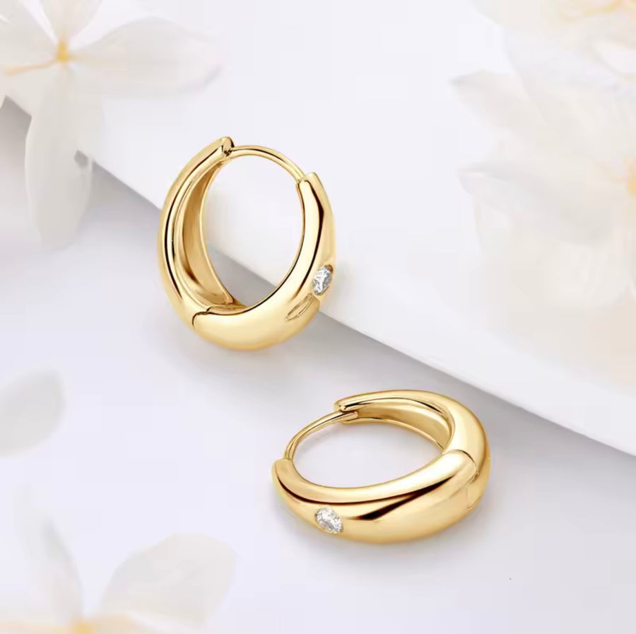 2.5mm Moissanite Hoop Earrings