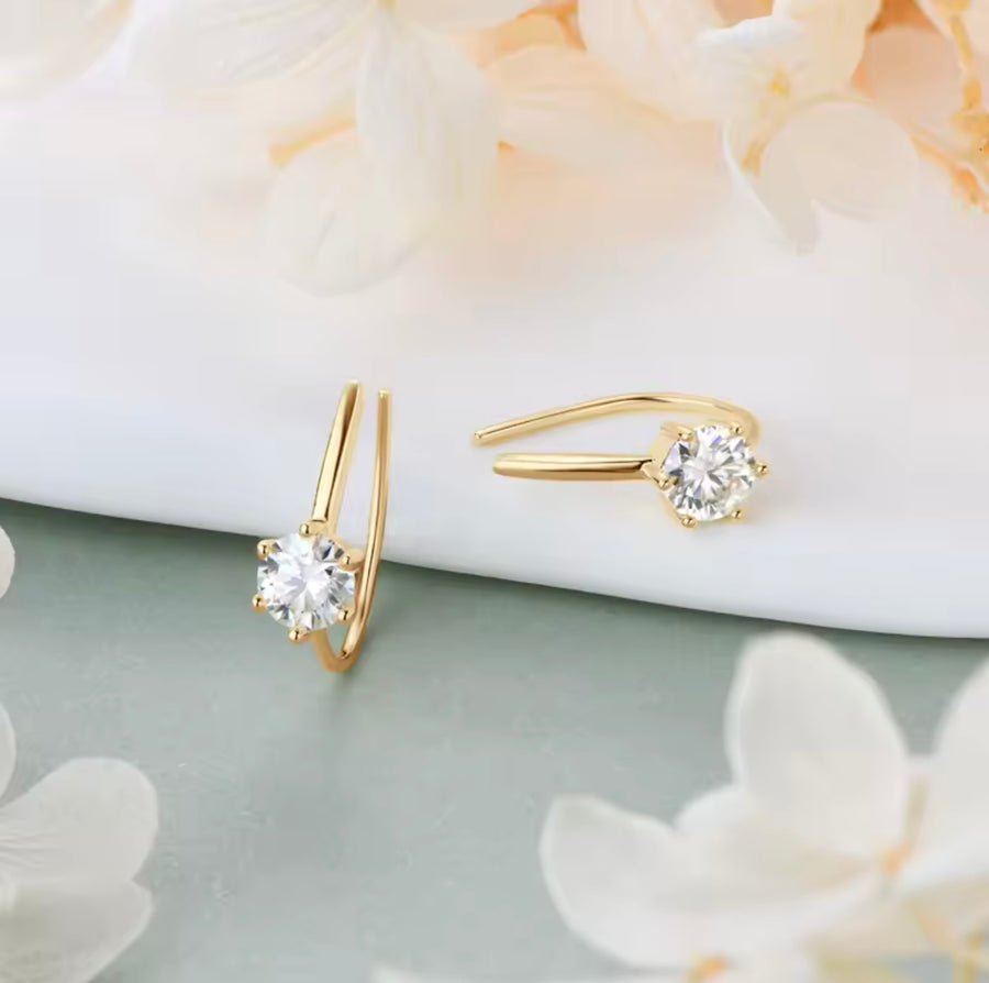 Earhook Delicate Charm
