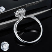 SHEBA Flawless Spirit Collection