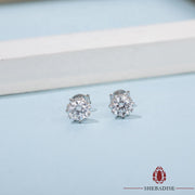 SHEBA Velvet Class Earrings