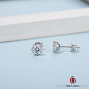 SHEBA Velvet Class Earrings