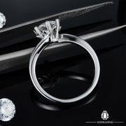 SHEBA Iced Flower Ring
