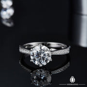 SHEBA Precious Piece