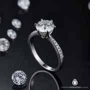 SHEBA Precious Piece