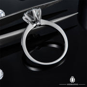 SHEBA Precious Piece