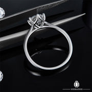 SHEBA Bubble Ring