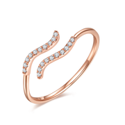 Zodiac Ring