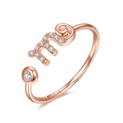 Zodiac Ring
