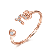Zodiac Ring