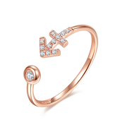 Zodiac Ring
