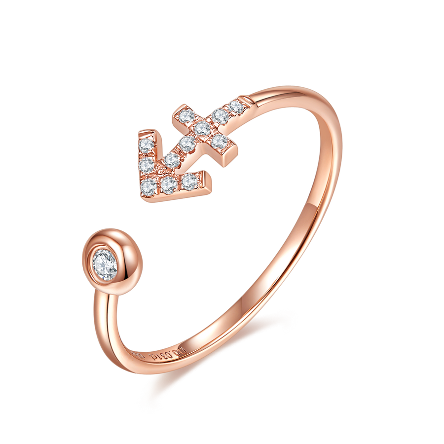 Zodiac Ring