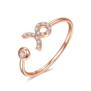 Zodiac Ring