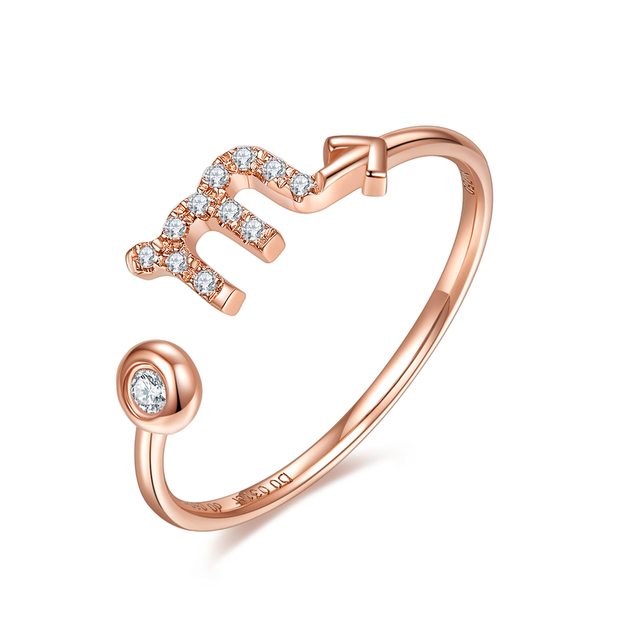 Zodiac Ring